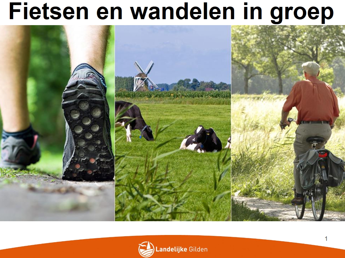 Wandelen en fietsen in groep | Landelijke Gilden